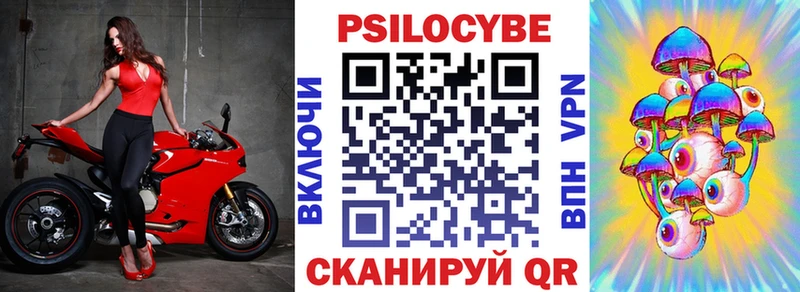 сайты даркнета какой сайт  Видное  Псилоцибиновые грибы Psilocybe 